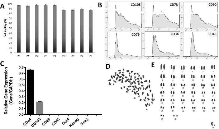 Fig. 2