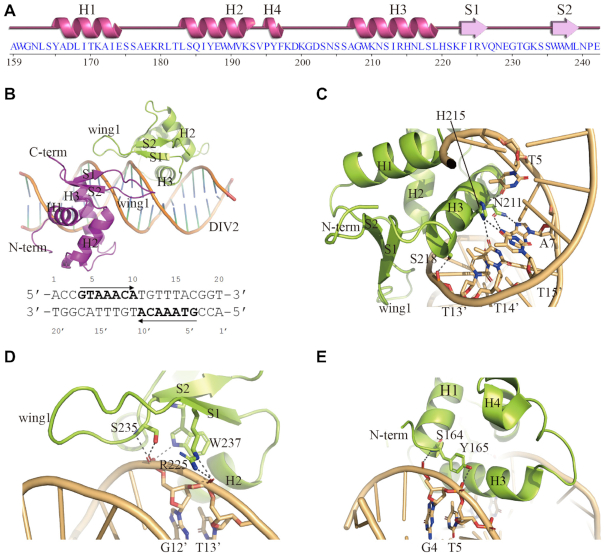 Figure 3.