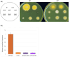 Fig. 12.