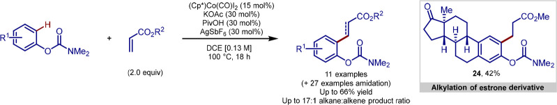 Scheme 7