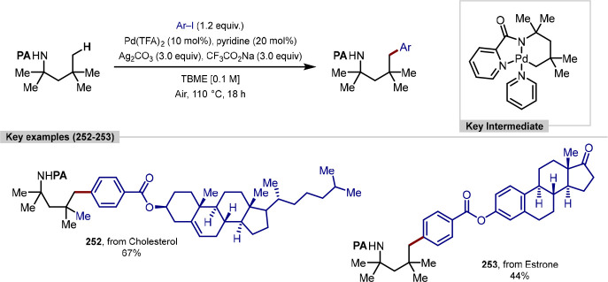 Scheme 53