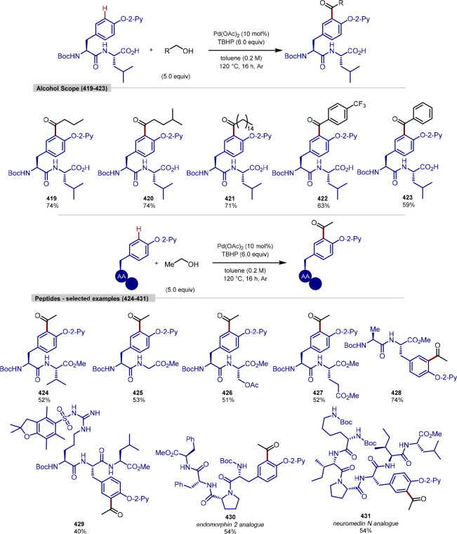 Scheme 87