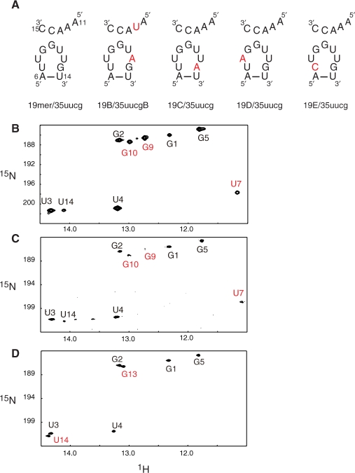 Figure 5.