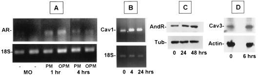 FIG. 5.