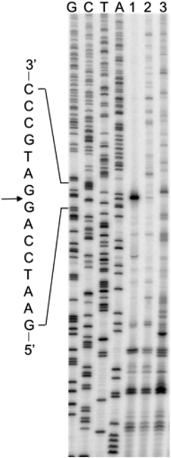 Fig. 3.