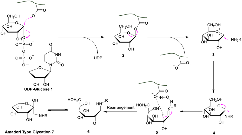 Figure 6.