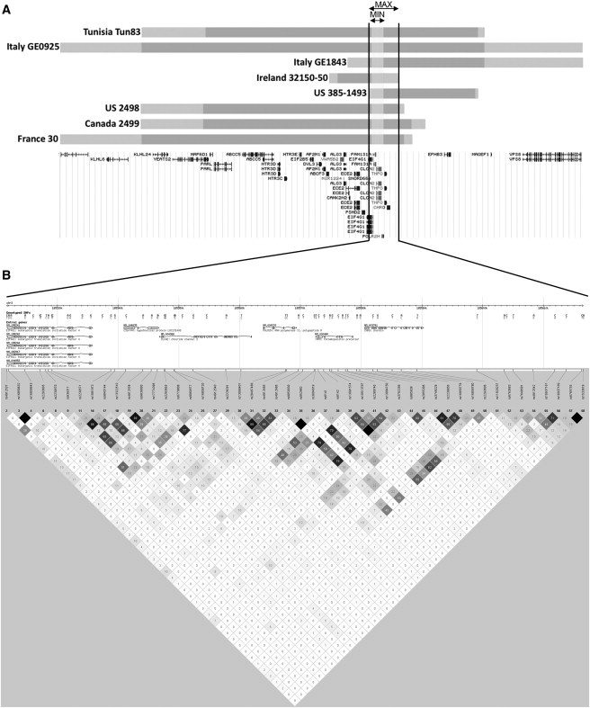 Figure 2