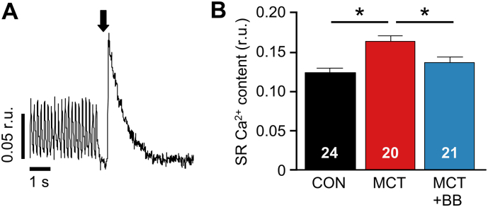 Fig. 8