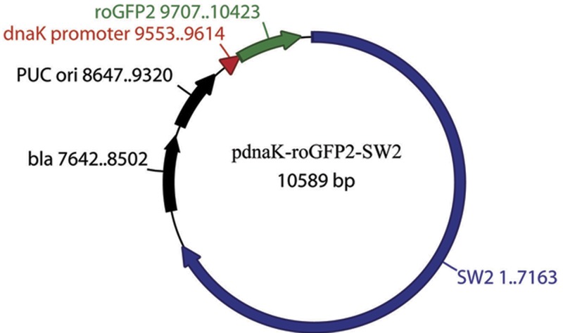 FIG 3 