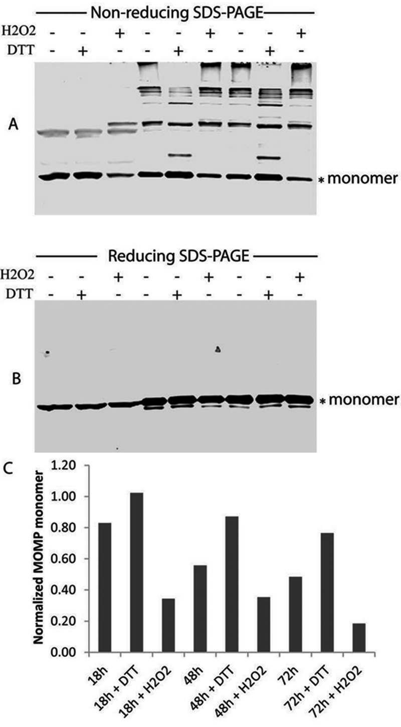 FIG 6 