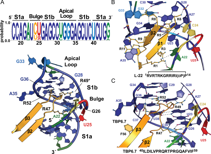 Figure 5.