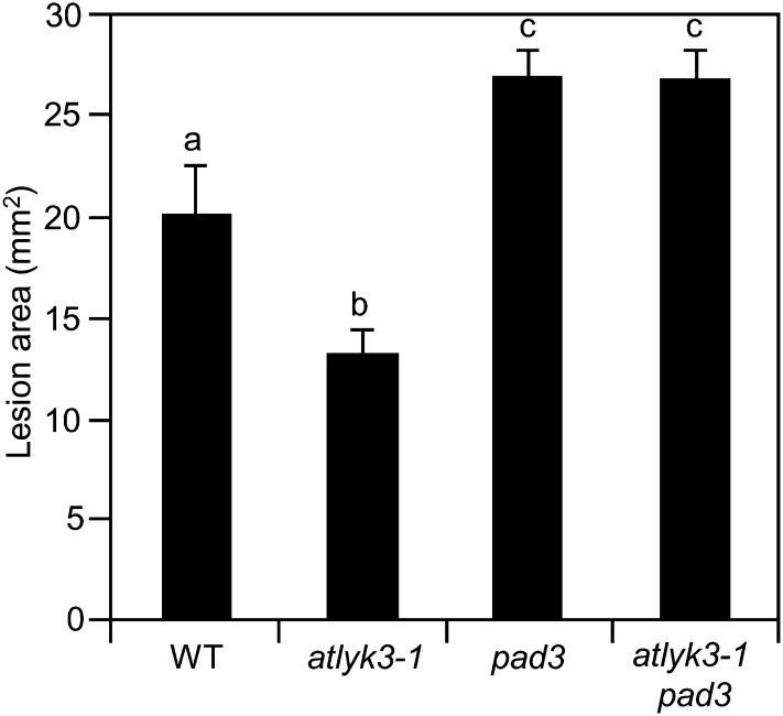 Figure 4.