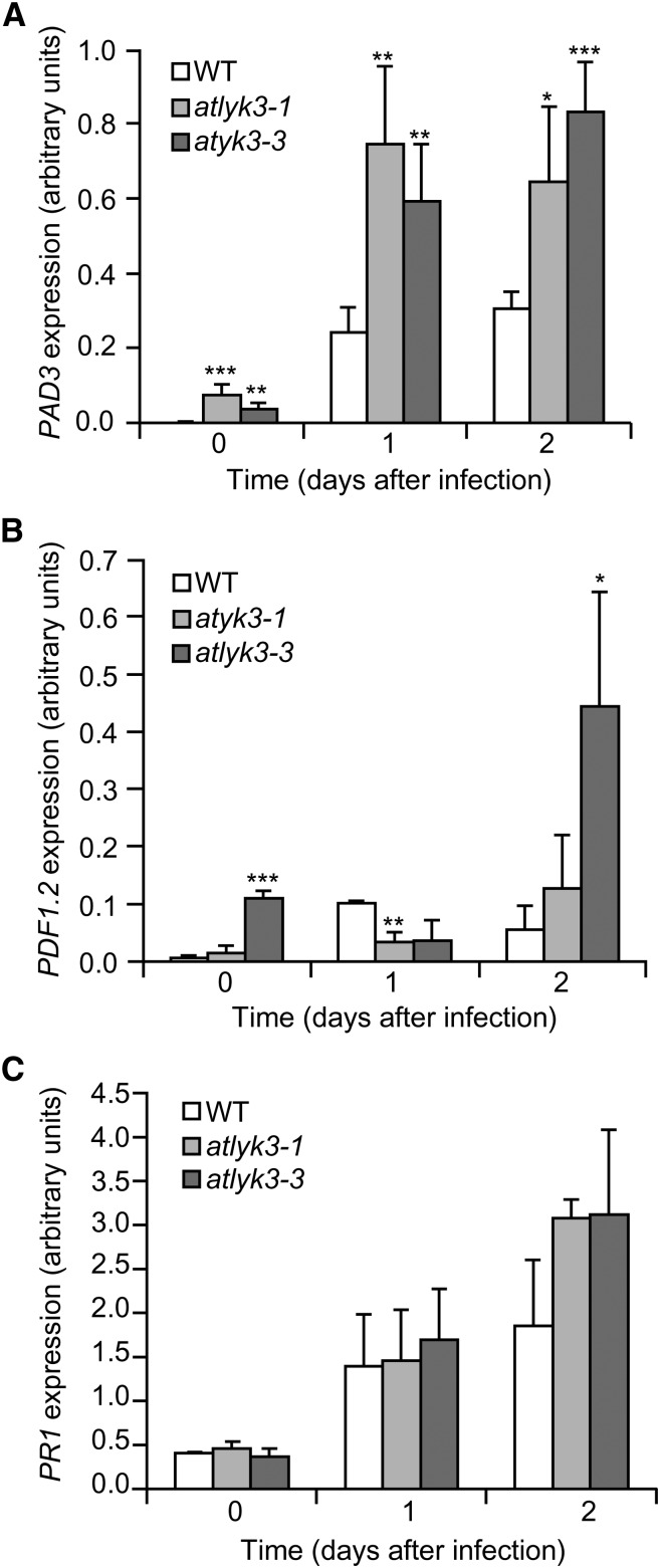 Figure 3.