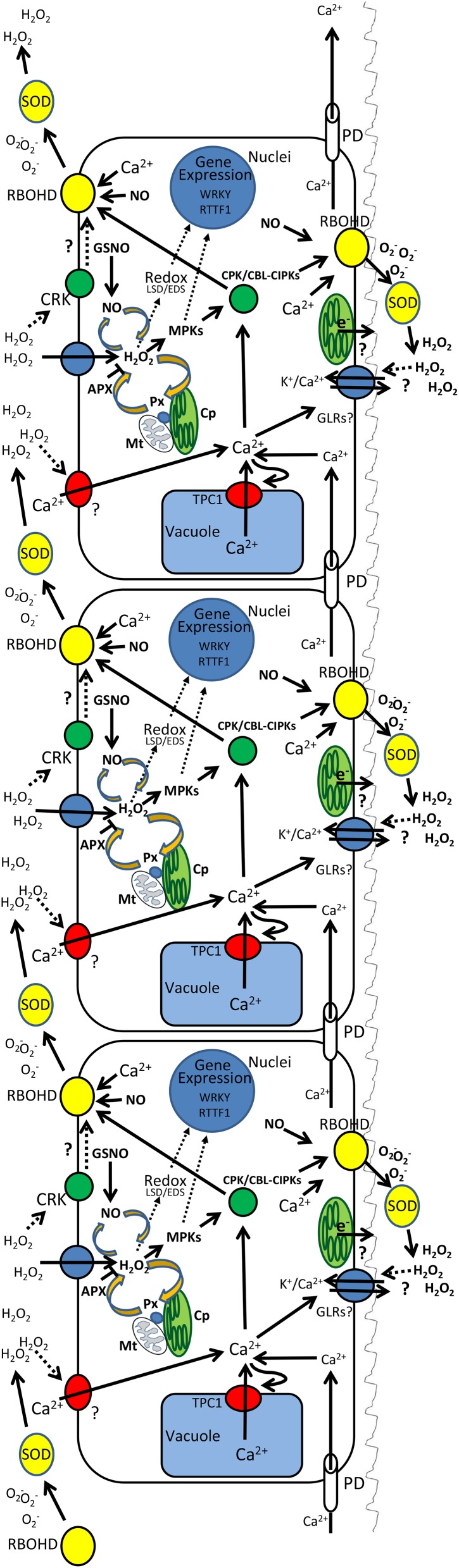 Figure 1.