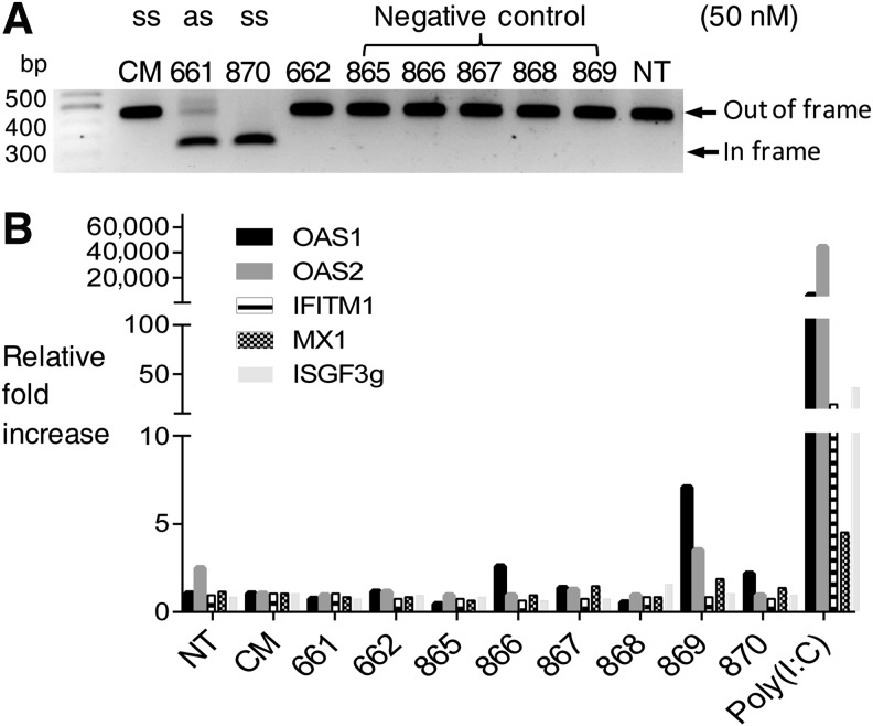 FIG. 3.