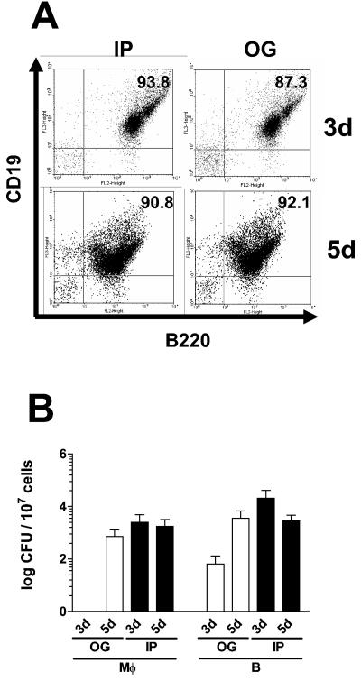 FIG. 5.