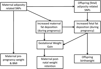 FIGURE 1.