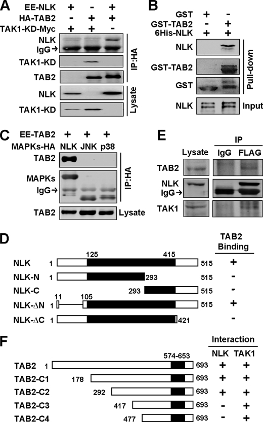 FIGURE 1.