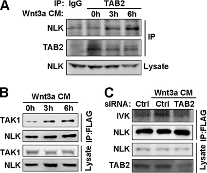 FIGURE 6.