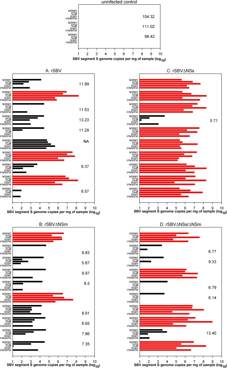 FIG 6