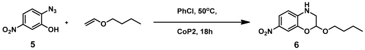 Scheme 5