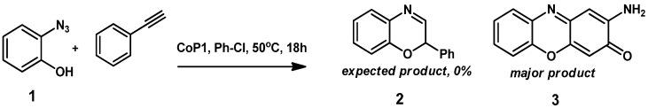 Scheme 3