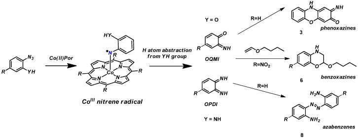 Scheme 9