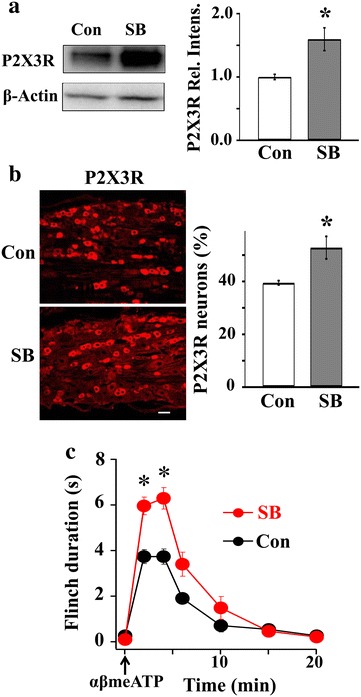 Fig. 6