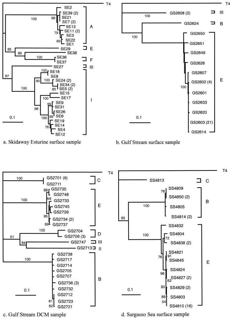 FIG. 2.