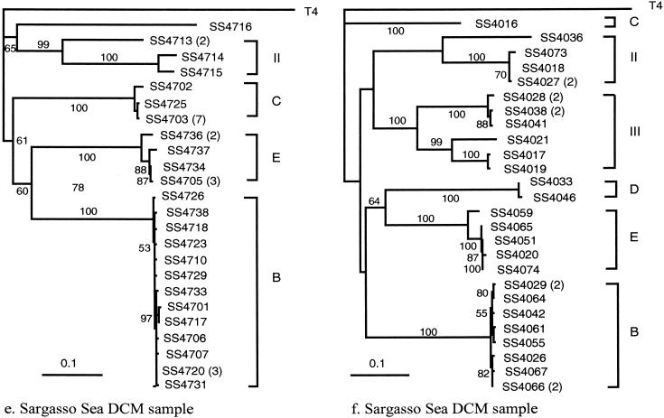 FIG. 2.