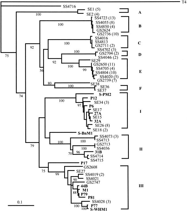 FIG. 3.