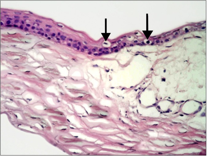 Fig. 5.