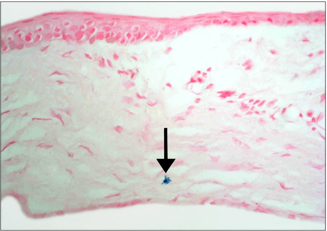 Fig. 7.