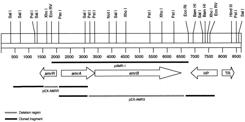 FIG. 1