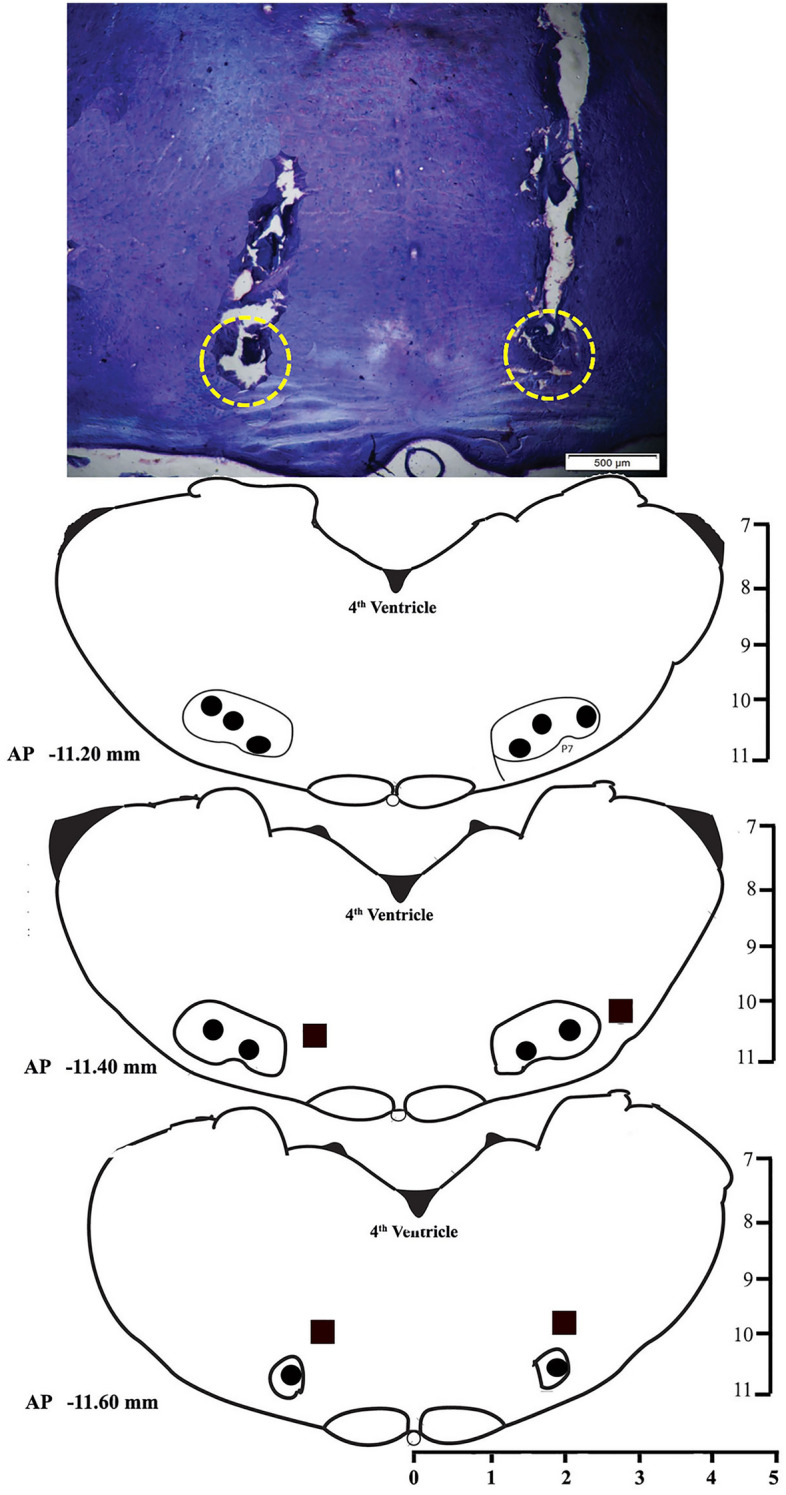 Fig. 7