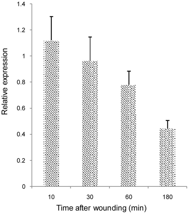 Figure 11