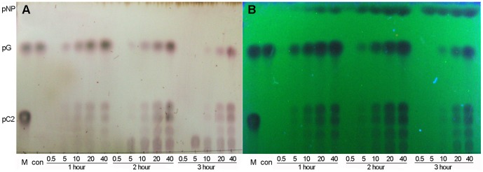 Figure 9