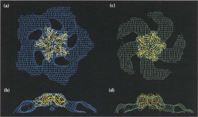 Fig 6