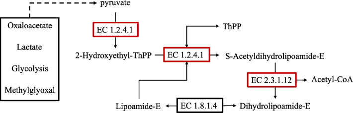 Fig. 9