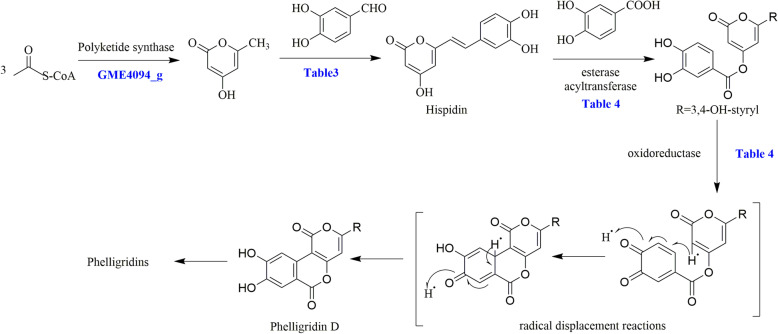 Fig. 10