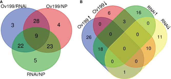 Figure 4