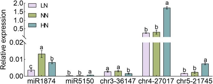 Figure 7