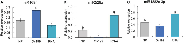 Figure 5