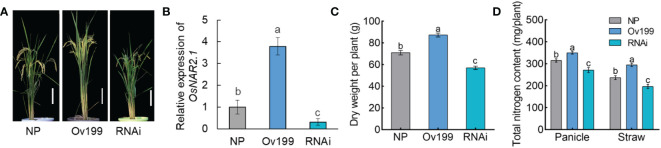 Figure 1