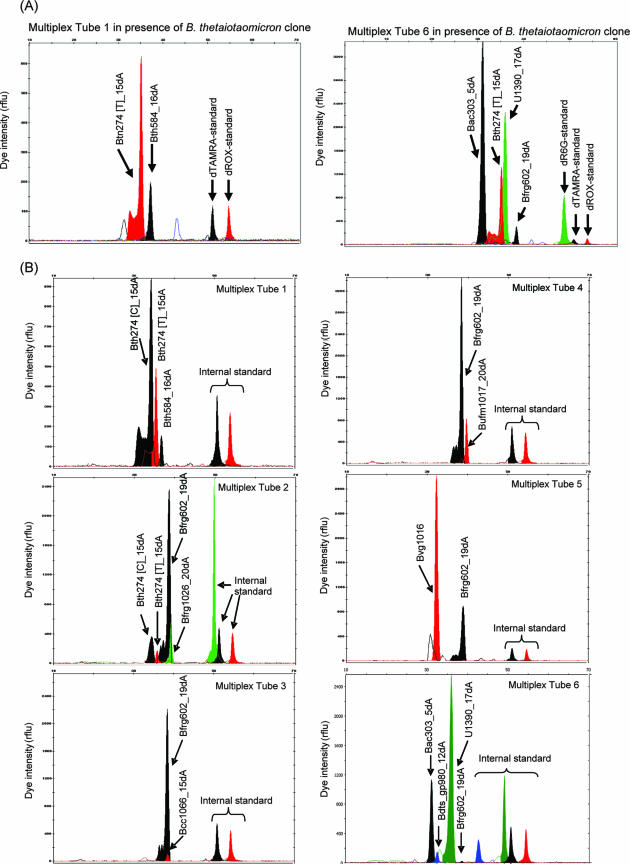 FIG. 4.