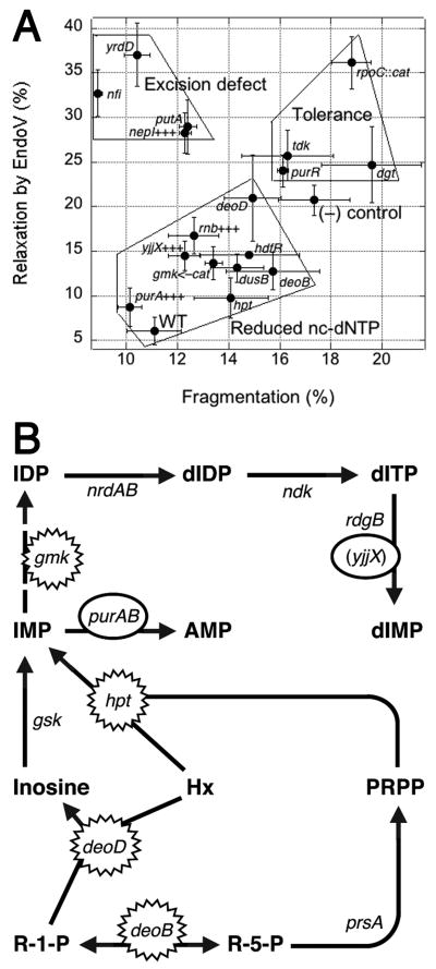 Fig. 8