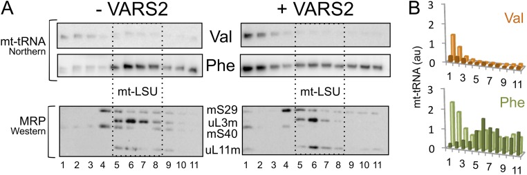 Fig. S4.