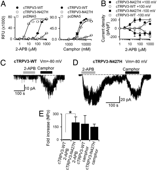 Fig. 3.