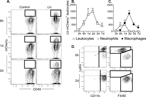 FIG. 3.