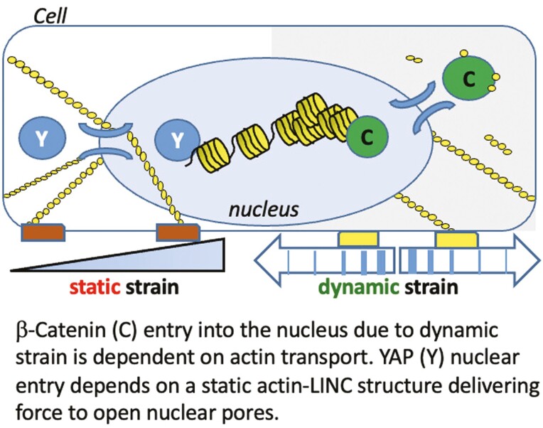 graphic file with name sxac006_fig6.jpg